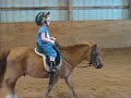 Annie and Stumpy - Over the Jump
