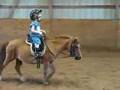 Annie and Stumpy - Over the Jump