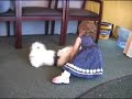 the craziest dog and the cutest baby