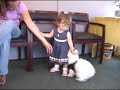 the craziest dog and the cutest baby