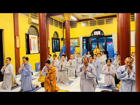 NIKAYA Thiền Quán - Luân Hồi Sĩ Nhục - Tranh Đấu & Dục Vọng **