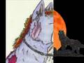 OMG...my Pictures xD