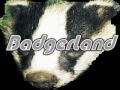 badgerland badgerland