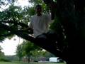 ricky jumping out of tree