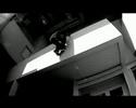 Polish Lisses Footage 2007