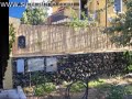 Recinzione villetta con giardino