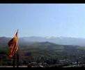 sali-berisha-who-let-the-dogs-out.html