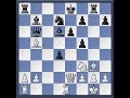 World Chess Championship - Game 5 World Chess Championship - Game 5