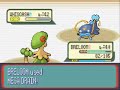 Pokemon Sapphire Adventure: Gym Battle 8 Pokemon Sapphire Adventure: Gym Battle 8