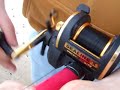 Daiwa Sealine (Retreve) Daiwa Sealine (Retreve)