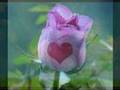 dime si no es amor