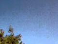 UFO sighting Riverside,CA 2005