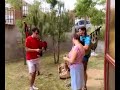 Gaiteros