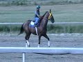 Mediman breezes 8/26 Mediman breezes 8/26
