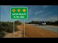Australia Travel, Westcoast and Pinnacles