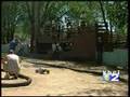 RC car racing from channel 2