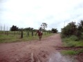 bugra e o cavalo