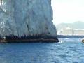 Oosterdam, Norwegian Star and Statendam in Cabo.
