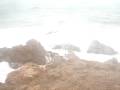 Temporal Levante Platja d\ Temporal Levante Platja d\