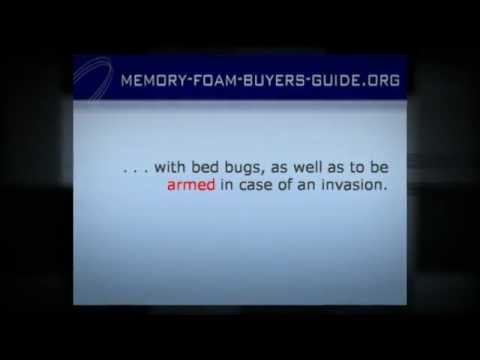 how to get rid and prevent bed bugs