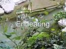\"Words\"  by Mitch Leaman - Great music video!