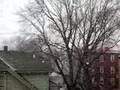Nevando em Boston