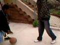 Jackass Sport Stunt