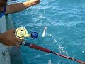 anglers gang SINGAPORE anglers gang SINGAPORE
