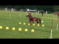 pony games tartas 2008 ptits diables marches