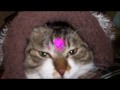 アルファチャンネル付ハート素材vol 2