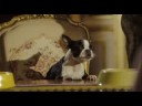 Palace Pour Chiens - bande annonce VF Palace Pour Chiens - bande annonce VF