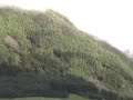 Fjordland