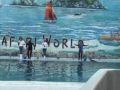 Bangkok safari world dolphin show