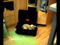 Euro & Pippa Land tricks. Greetings from Russia!