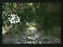 Gondwana - Sentimiento Original