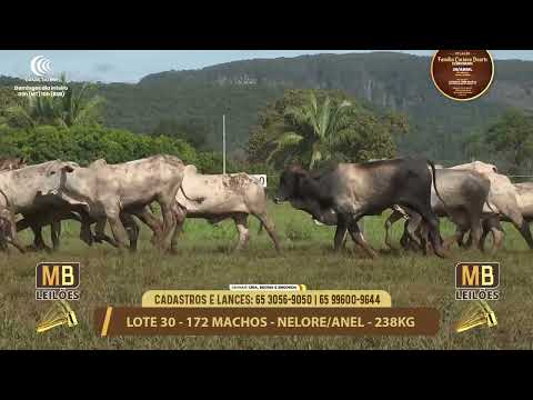 11� LEIL�O FAM�LIA LUCIANO DUARTE E CONVIDADOS