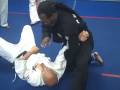 videos de Grandmaster Moreland Hapki transitional t