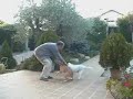 Lolipop en su nuevo hogar