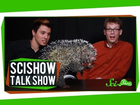 Hank and Michael Meet an Alien: SciShow Talk Show #4