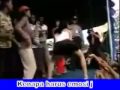 Artis Mesum.flv