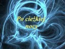 Skoj 2008