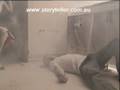 videos de Part 2 Malice or Mutiny