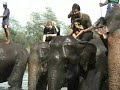 Nepal (BTN-6)  Parc national de Chitwan  ?????