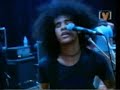 at the drive in live at big day out