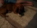 lucy lou :)