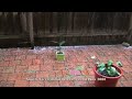 Hailstones South Yarra Melbourne Australia 22-11-2008 10am