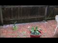 Hailstones South Yarra Melbourne Australia 22-11-2008 10am