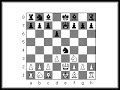 Petroff Defense: How to Play