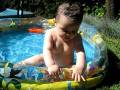 videos de Tomy en la pile