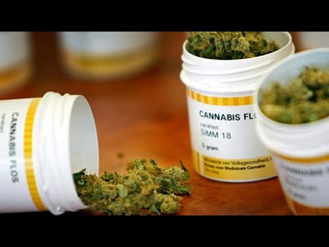 Cannabis - Medizin oder Droge? Ist das Verbot nach wi ...